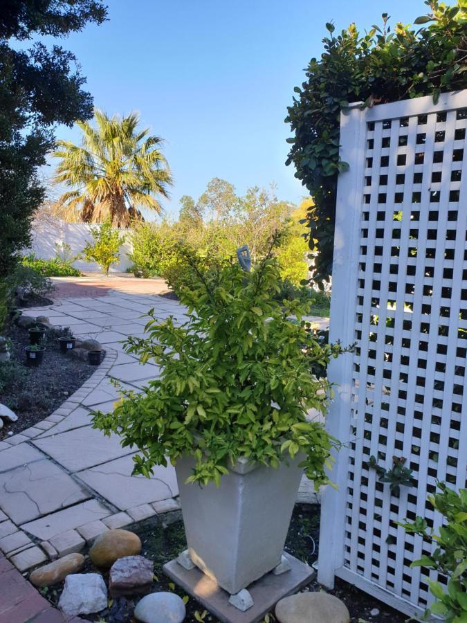 Roosboom Guest Apartments Somerset West Eksteriør billede