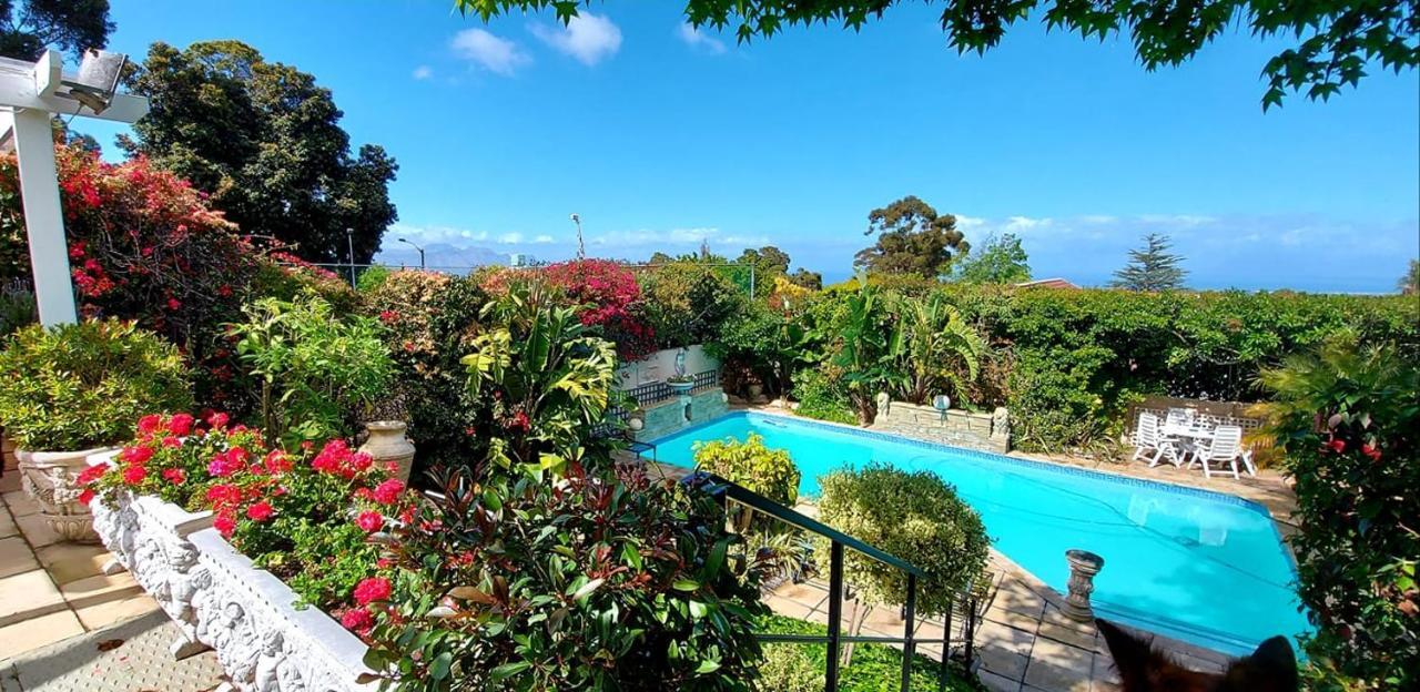 Roosboom Guest Apartments Somerset West Eksteriør billede